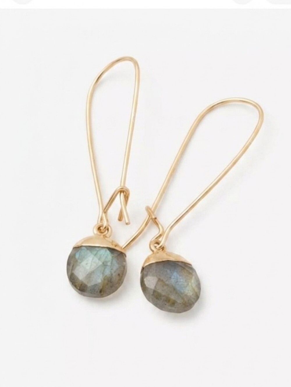 Faceted Labradorite Gold-tone Drop Wire Earrings